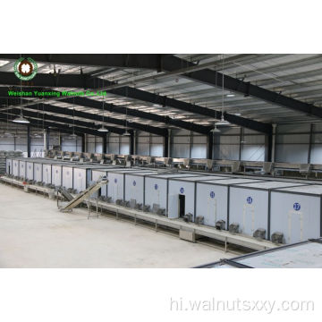 युन्नान अखरोट की गुठली के शीर्ष गुणवत्ता प्रकाश क्वार्टर